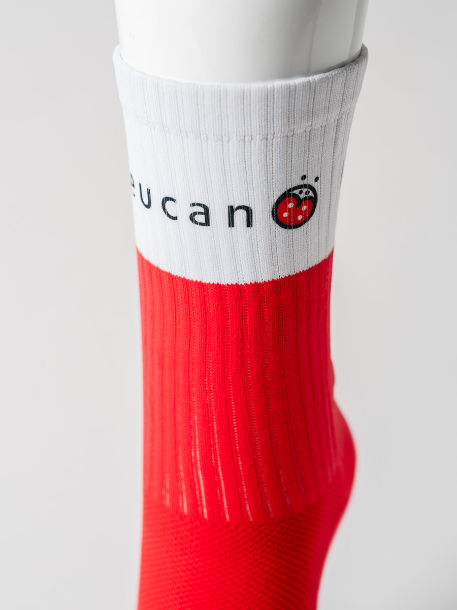 Leucan 2025